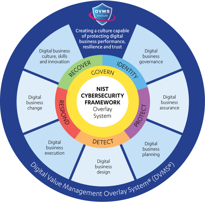 DVMS Lifecycle PIC 03-09-2026
