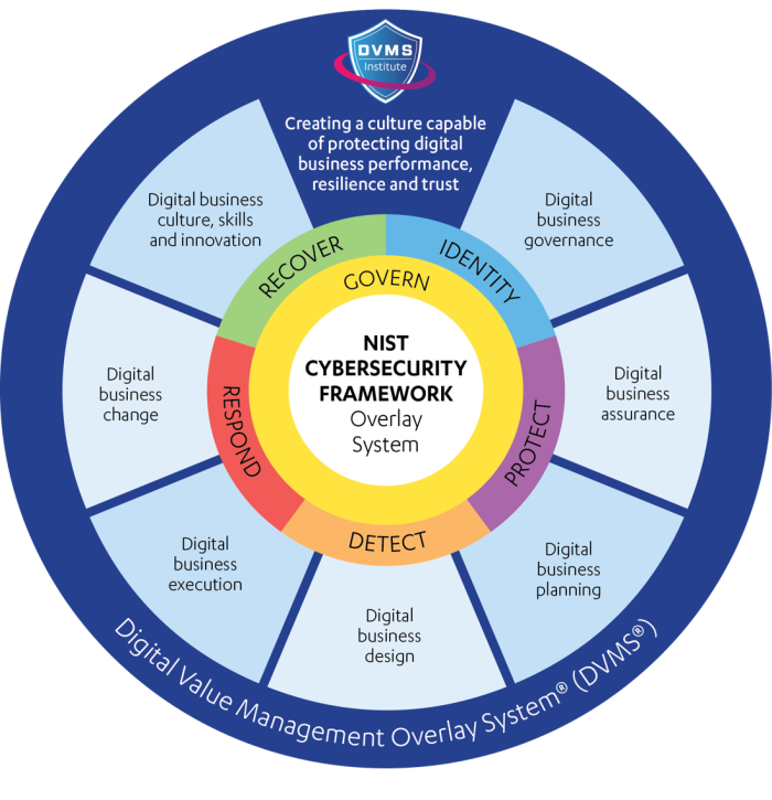 DVMS Lifecycle PIC 03-09-2026